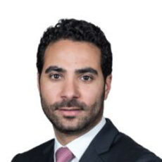الدكتور محمد حماده